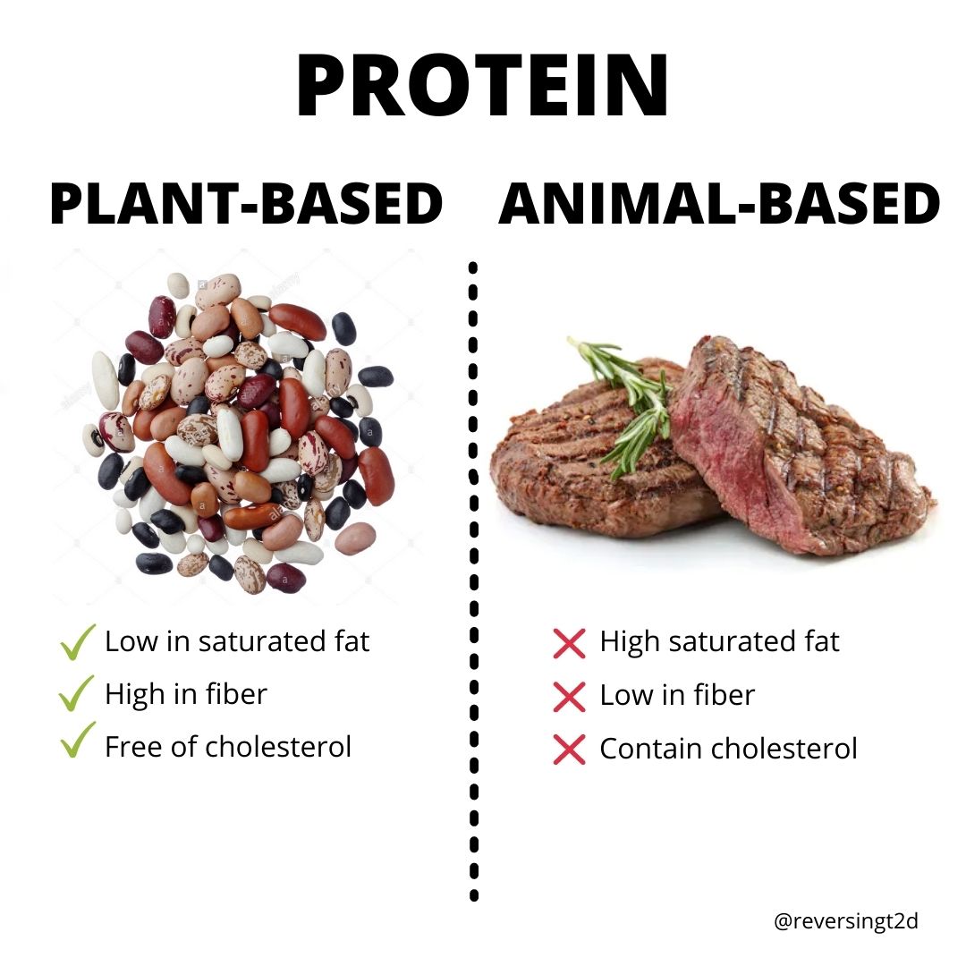 plant based protein for bulking