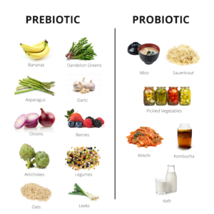 Prebiotic vs Probiotic foods