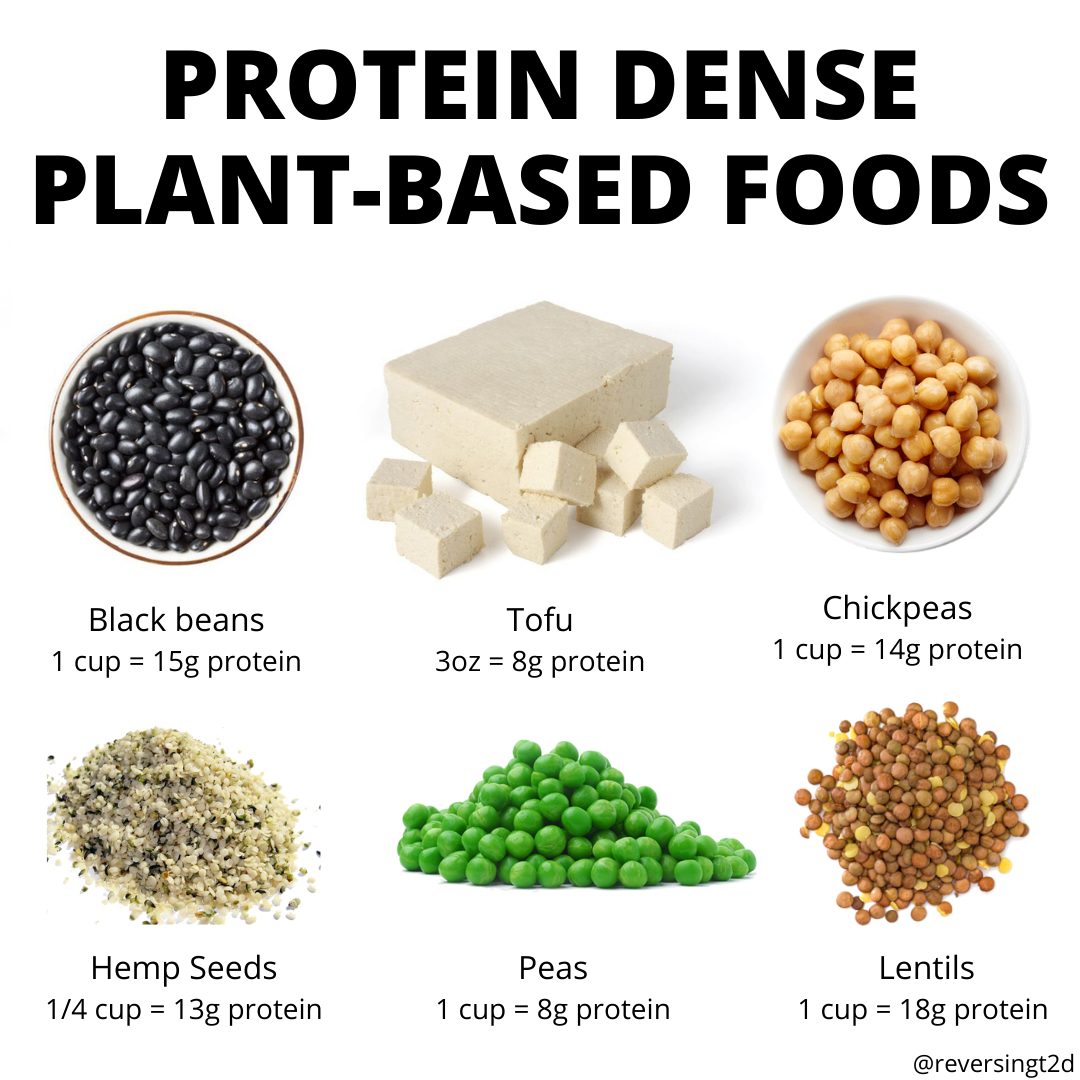 Protein Dense Plant-Based
